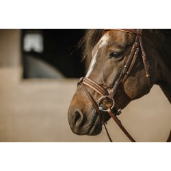 ERIC THOMAS Trense Work