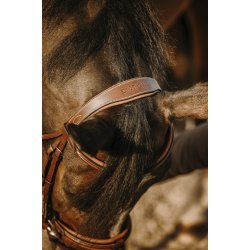 ERIC THOMAS Trense Work