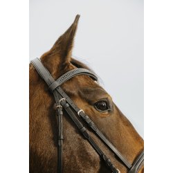 NORTON CLUB Trense Strass