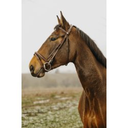 NORTON CLUB Trense Easy