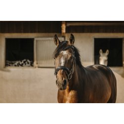 ERIC THOMAS Trense Bat sort