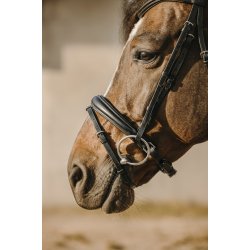 ERIC THOMAS Trense Bat sort