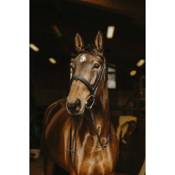 NORTON PRO Dark l�dert�jler sort