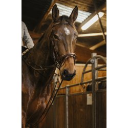 NORTON PRO Glidet�jle