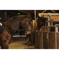 NORTON PRO Glidet�jle