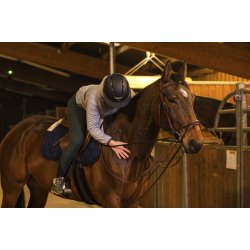 NORTON PRO Glidet�jle