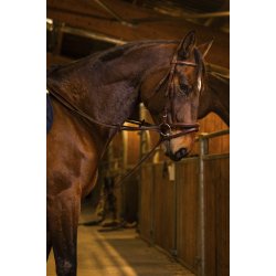 NORTON PRO Glidet�jle