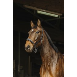 NORTON PRO Rock l�dergrime full