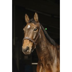 NORTON PRO Rock l�dergrime full