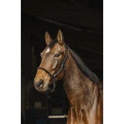 NORTON PRO L�dergrime sort