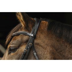 NORTON PRO Basal Kandar sort