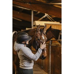 EQUITHEME AGRIS Ridehjelm MAT SILVER sort