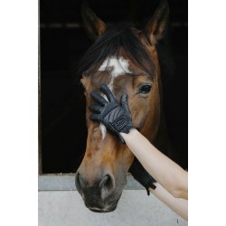 Ridehandske EQUITHEME Je t'aime STRASS Sort