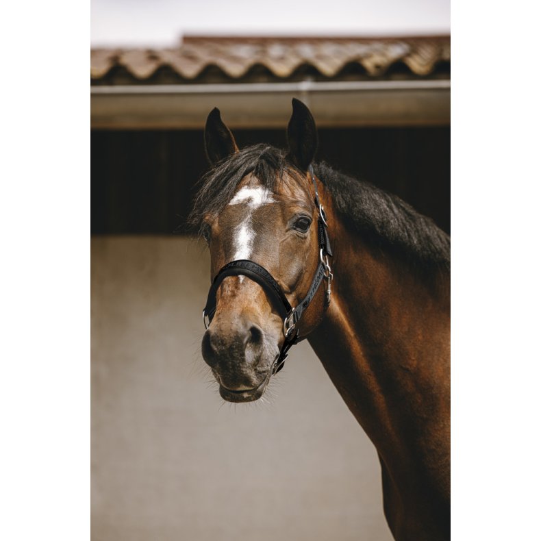 EQUITHEME Grime Jacquard flere farver