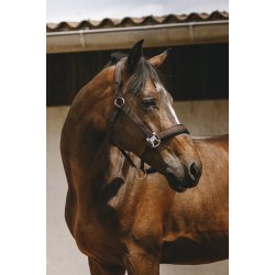 EQUITHEME Grime Jacquard flere farver