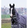 Pony